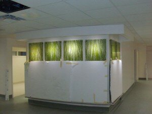 Hôpital St-Mary's